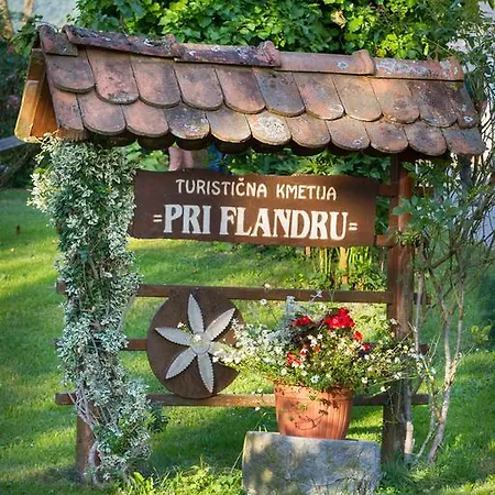 Alojamento de Turismo Rural Farm Pri Flandru