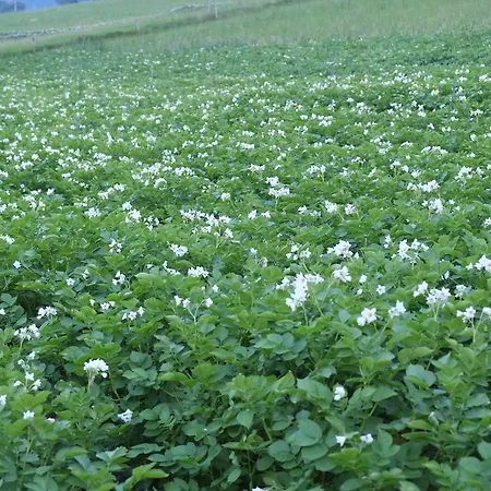 Alojamento de Turismo Rural Farm Pri Flandru Cerkno