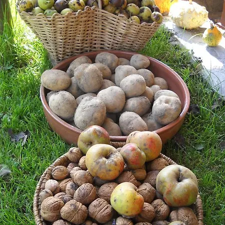 Farm Pri Flandru