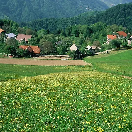 Alojamento de Turismo Rural Farm Pri Flandru *