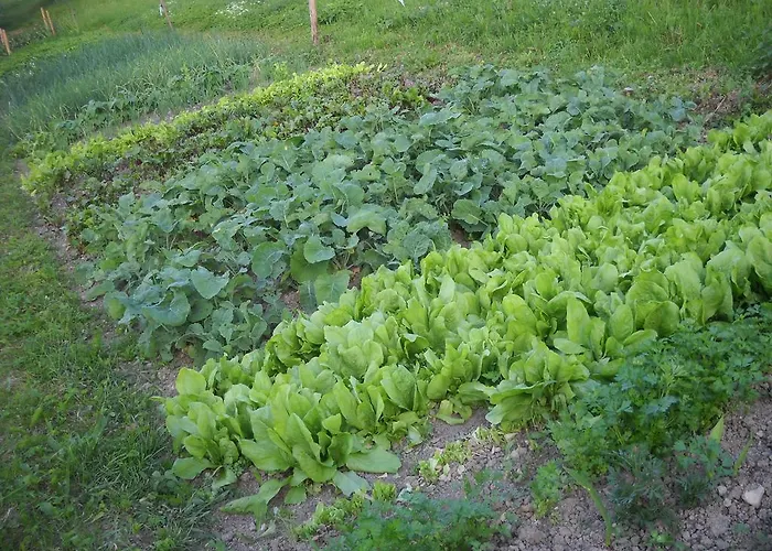 בית חווה Farm Pri Flandru