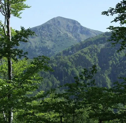 Bivanje na kmetiji Farm Pri Flandru *