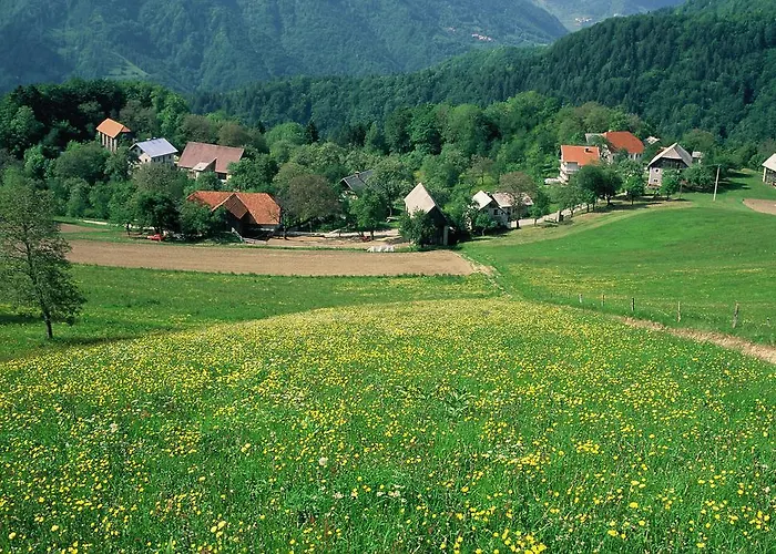 Bivanje na kmetiji Farm Pri Flandru *